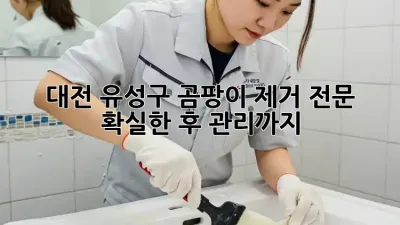 대전 유성구 곰팡이 제거 전문, 확실한 후 관리까지! 🏡✨