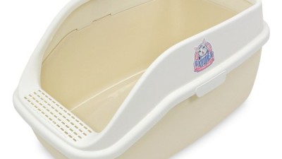 캣아이디어뉴평판화장실xl? 후회 없는 선택, 솔직 후기와 꿀팁 대방출!
