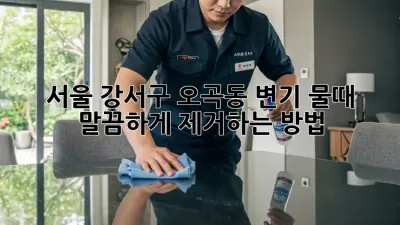 서울 강서구 오곡동 변기 물때, 말끔하게 제거하는 방법!